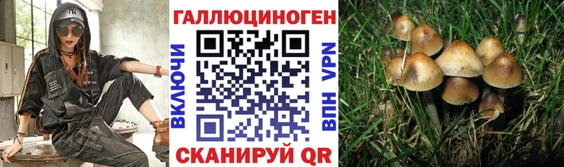 купить  цена  Луга  Галлюциногенные грибы прущие грибы 