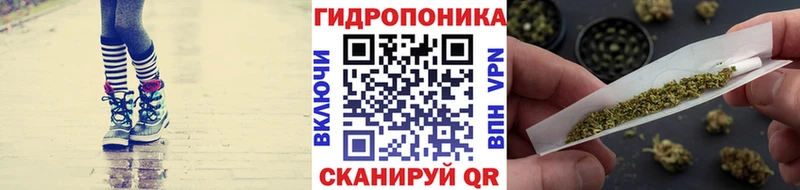 Каннабис White Widow Луга